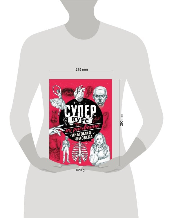 Дополнительное изображение книги «Суперкурс по рисованию. Анатомия человека»