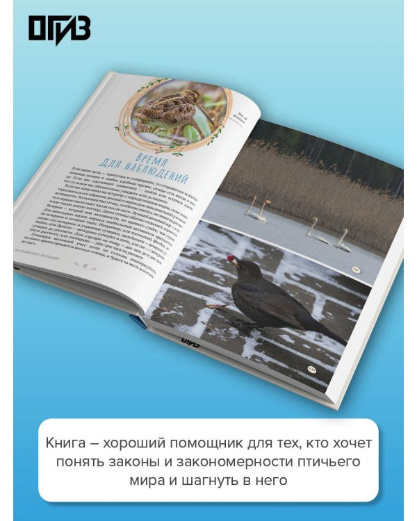 Дополнительное изображение книги «Бердвотчинг. Как наблюдать за птицами. Практический гид»