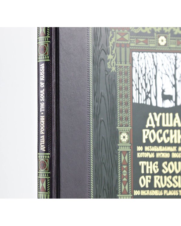Душа России. 100 незабываемых мест. Книга в коллекционном инкрустированном переплете с тиснением в русском стиле