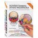 Медицинский атлас Анатомия человека: атлас-раскраска