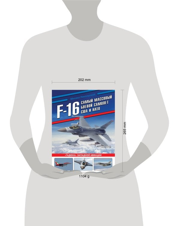 Дополнительное изображение книги «F-16: самый массовый боевой самолет США и НАТО»