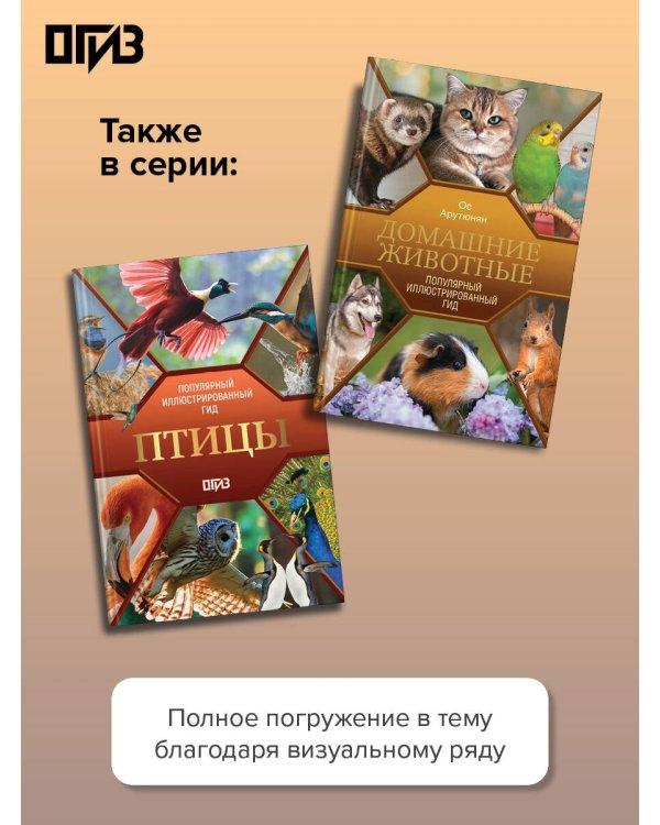 Дополнительное изображение книги «Динозавры»