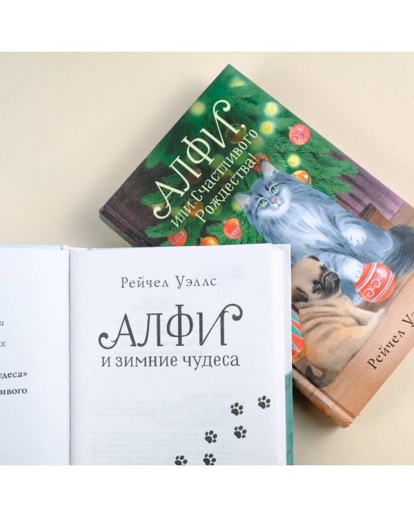 Алфи и зимние чудеса