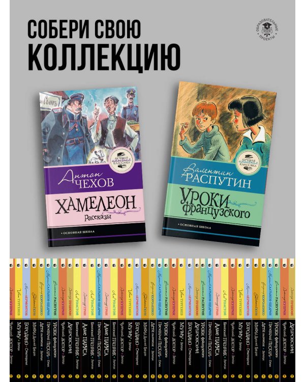 Хамелеон. Рассказы