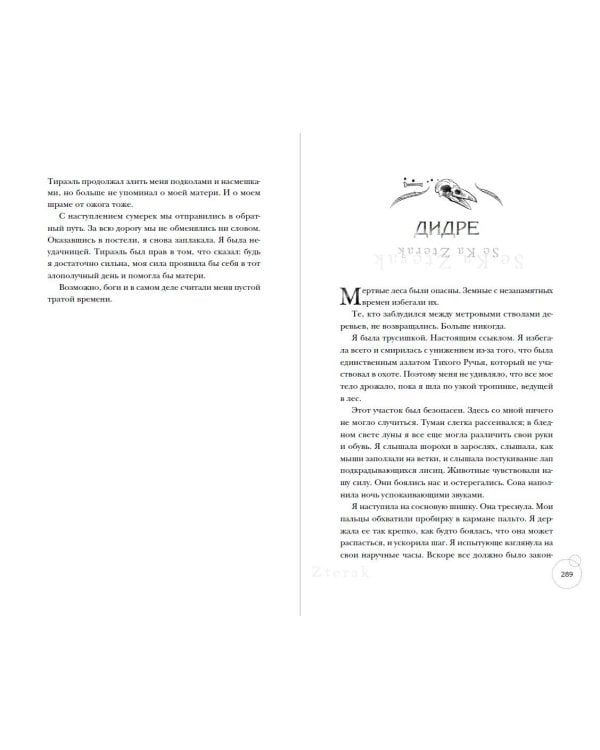 Ведьмы Тихого Ручья. Колдовской сезон (#1)