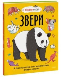 Звери. От броненосца до зебры: самые невероятные факты, рекорды и достижения