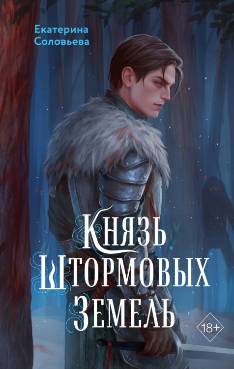 Young Adult. Молодежное российское фэнтези Князь Штормовых Земель