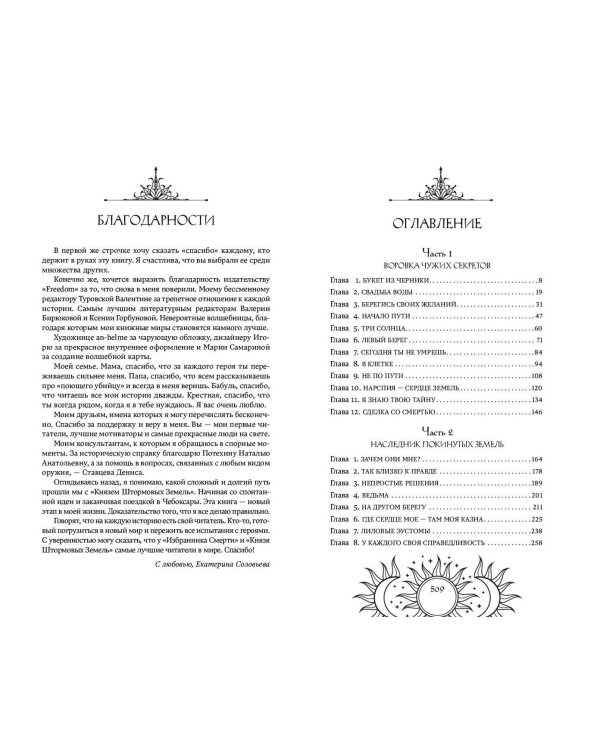 Князь Штормовых Земель