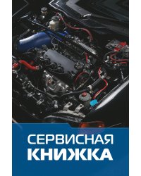 Сервисная книжка (на проволоке)