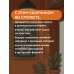 Семейный кодекс в историях. Обучающие рассказы по семейному праву