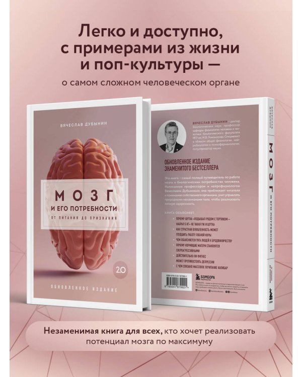 Мозг и его потребности. 2.0 от питания до признания