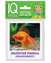 Умный малыш. Аквариумные рыбы. Набор карточек для детей.
