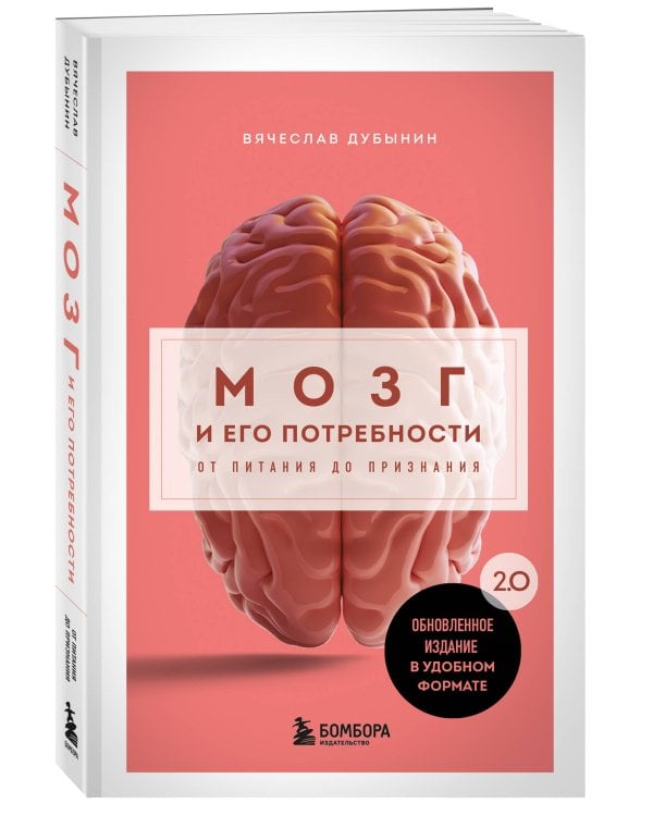 Мозг и его потребности. 2.0 от питания до признания