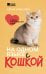 Обложка книги «На одном языке с кошкой. Советы, рекомендации, уход» — Клюсовец Елена Валериевна, ISBN 9785171897468