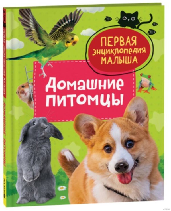 Первая энциклопедия малыша Домашние питомцы. Первая энциклопедия малыша