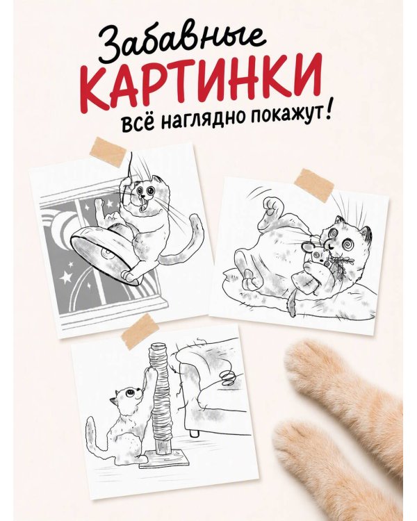Дополнительное изображение книги «На одном языке с кошкой. Советы, рекомендации, уход»