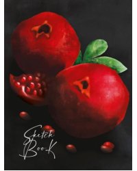 СКЕТЧБУК А5. ГРАНАТЫ (выб.лак)