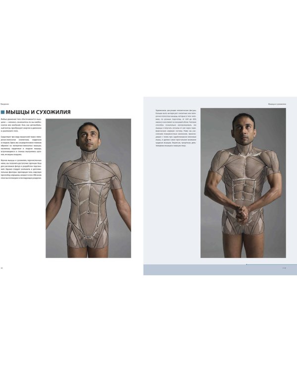 Фигура человека для художника. Большая книга анатомии, референсов и художественных поз