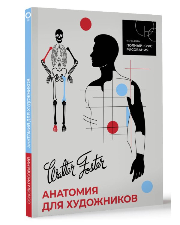 Анатомия для художников