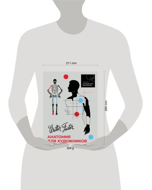 Анатомия для художников