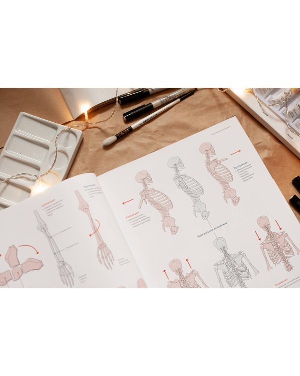 Фигура человека для художника. Большая книга анатомии, референсов и художественных поз