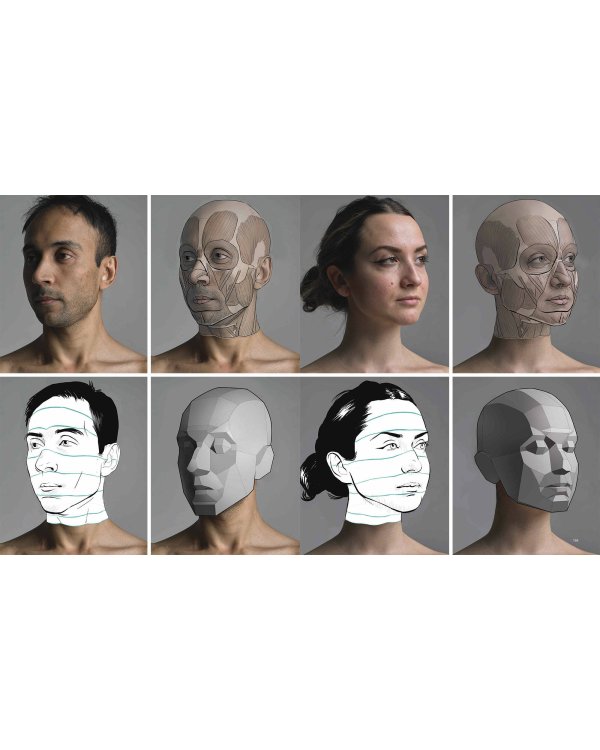 Фигура человека для художника. Большая книга анатомии, референсов и художественных поз