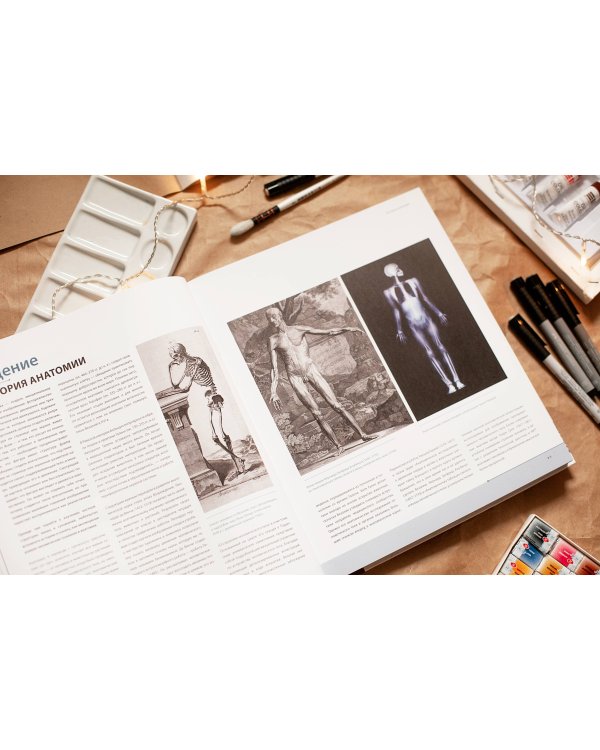 Фигура человека для художника. Большая книга анатомии, референсов и художественных поз