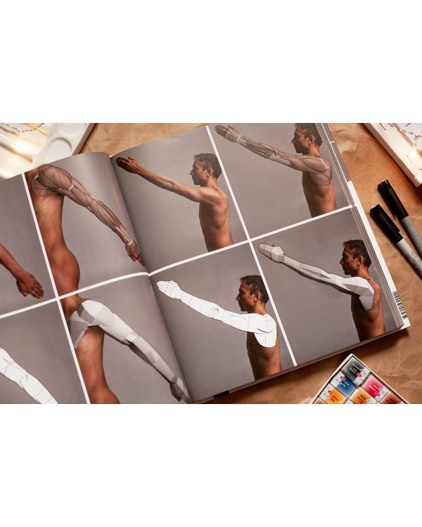 Фигура человека для художника. Большая книга анатомии, референсов и художественных поз