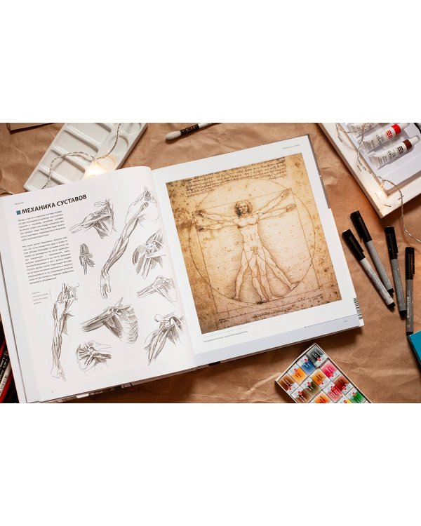 Фигура человека для художника. Большая книга анатомии, референсов и художественных поз