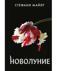 Новолуние (новое оформление)