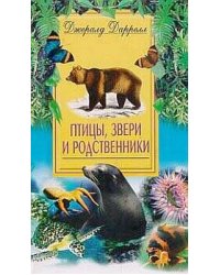 Птицы звери и родственники