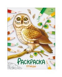 Окружающий мир. Раскраска. Птицы