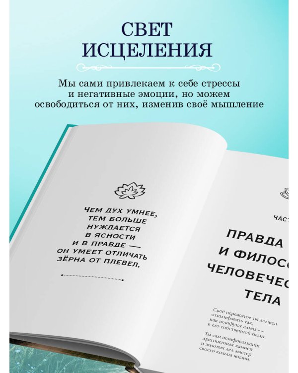 Книга Мудрости. Душевный свет. Оставаться или идти (новое оформление)