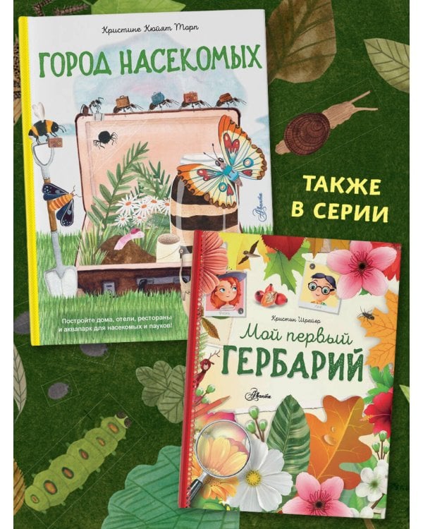 Город насекомых