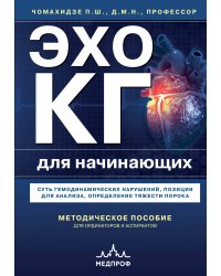 Эхокардиография для начинающих. Суть гемодинамических нарушений, позиции для анализа, определение тяжести порока