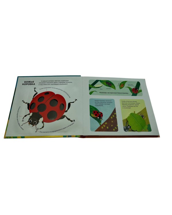 Насекомые. Тактильная книга-панорамка