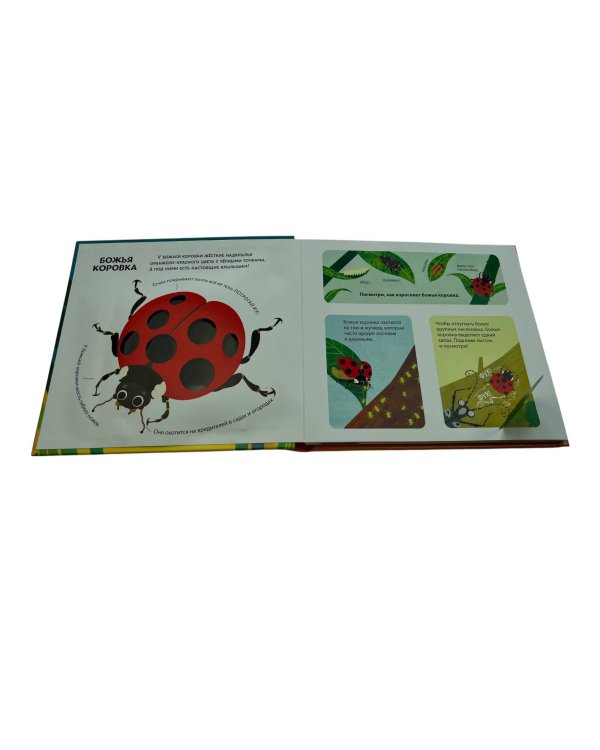 Насекомые. Тактильная книга-панорамка