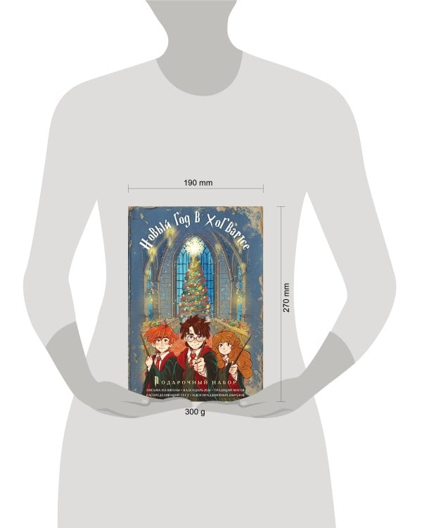 Гарри Поттер и Новый год в Хогвартсе. Подарочный набор (книга + календарь + письма из школы)