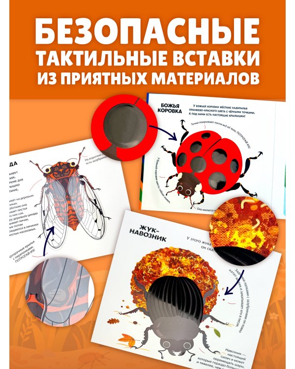Насекомые. Тактильная книга-панорамка