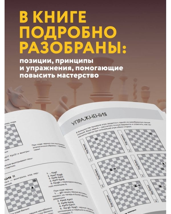 Искусство эндшпиля для начинающих