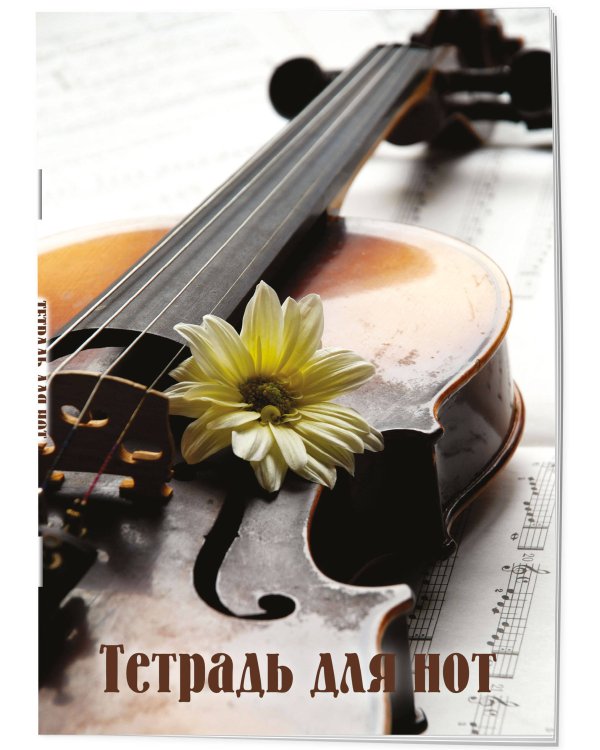 Тетрадь для нот. Скрипка с цветком (24 л., А4, вертикальная, скрепка)