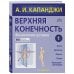 Цветные иллюстрированные медицинские атласы Верхняя конечность. Физиология суставов (обновленное издание)