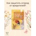 Советы опытного дачника Болезни и вредители на участке. Как привлечь огородных помощников для защиты огорода