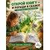 Волшебник страны Оз. Раскраска антистресс