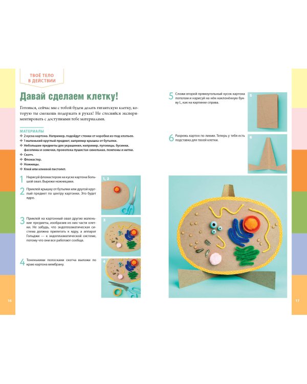 Тело человека. Домашняя лаборатория для детей