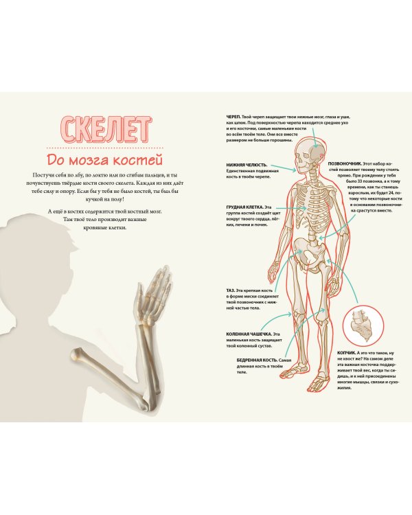 Тело человека. Домашняя лаборатория для детей
