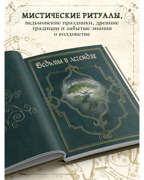 Дополнительное изображение книги «Ведьмы. Энциклопедия забытых знаний, легенд и преданий»
