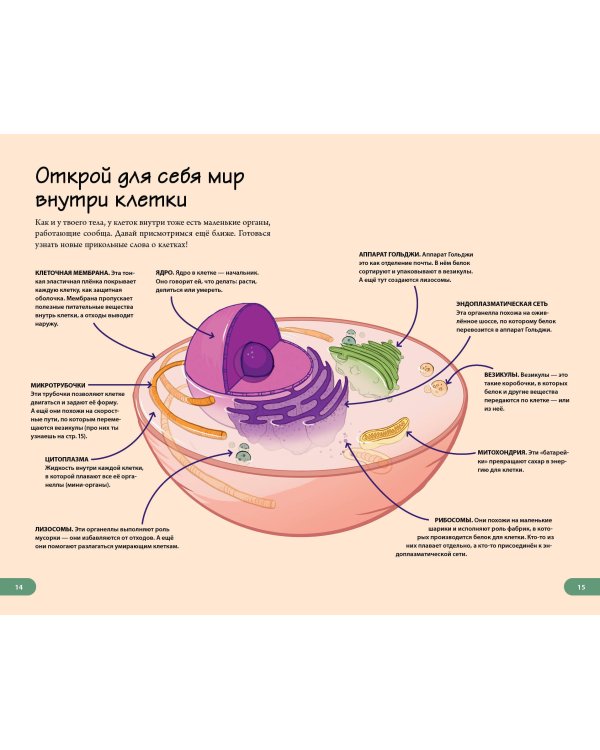 Тело человека. Домашняя лаборатория для детей