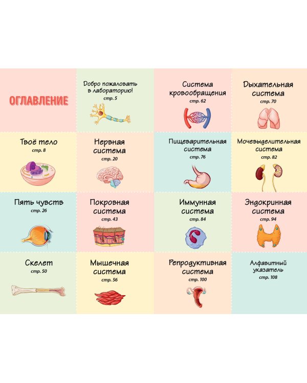 Тело человека. Домашняя лаборатория для детей
