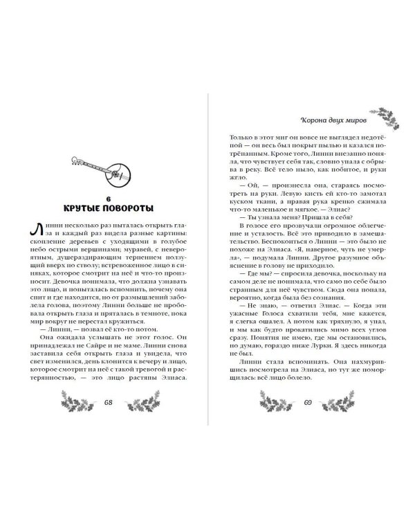 Дополнительное изображение книги «Корона Двух Миров»